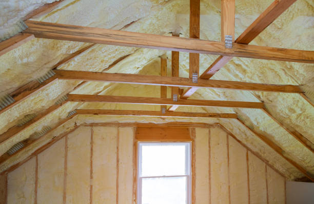 Best Insulation for New Construction  in Payette, ID