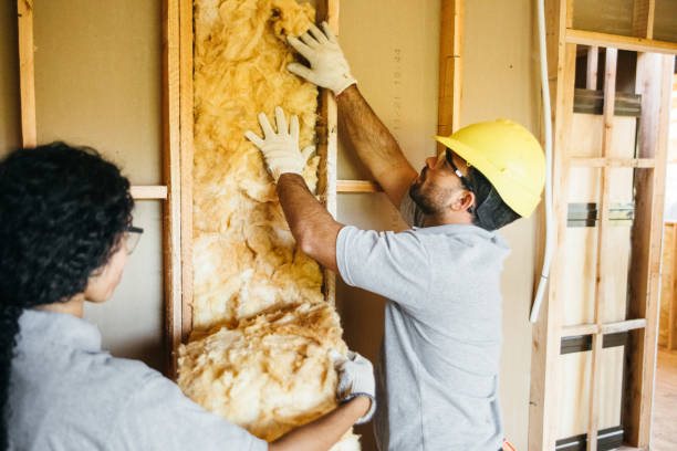 Best Insulation Removal  in Payette, ID