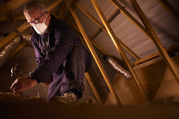 Best Energy-efficient Insulation  in Payette, ID